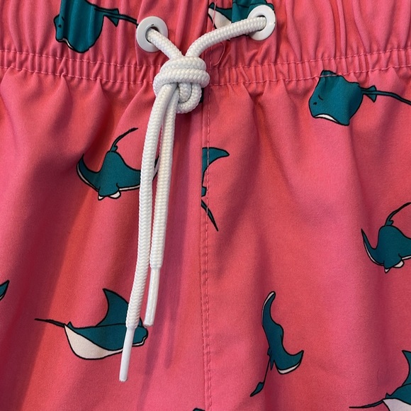 Hollister swim trunks. Mens small. Fully lined with mesh. - Picture 3 of 8